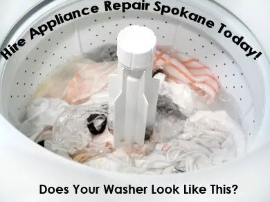 Standing water left in the drum of a washing machine that will not drain